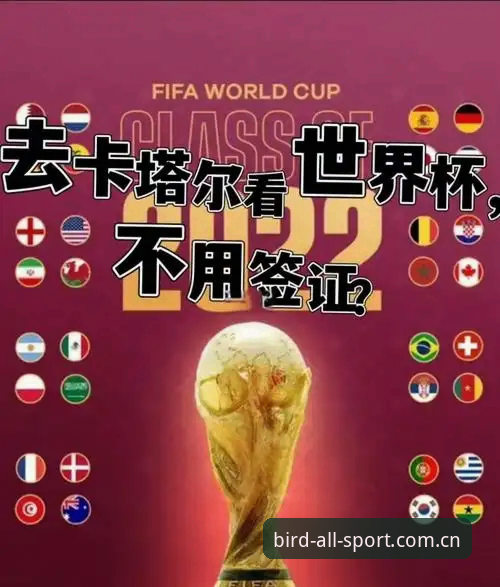 世界杯观赛必备：签证风波下的旅行与观赛实用指南
